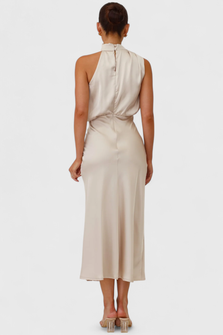 Rina Elegant Halter Neck Draped Dress