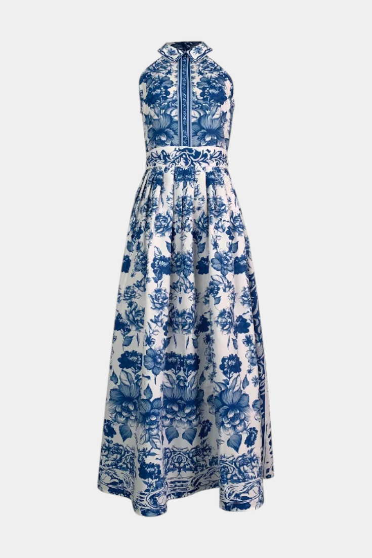 Shante Floral A-Line Dress with Turndown Collar